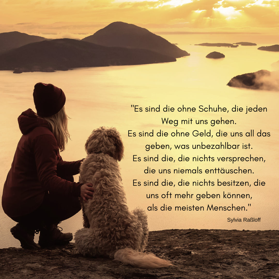 Asche Creolen FOREVER