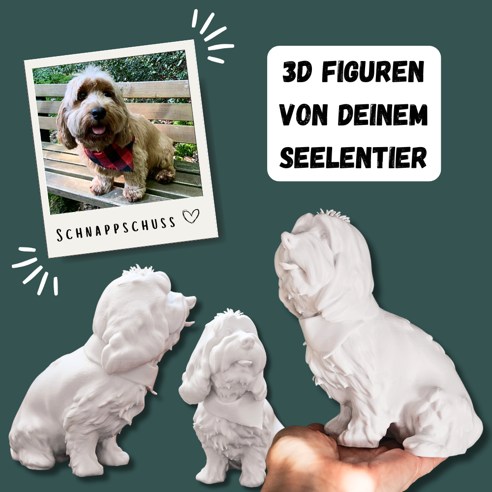 3D Figuren